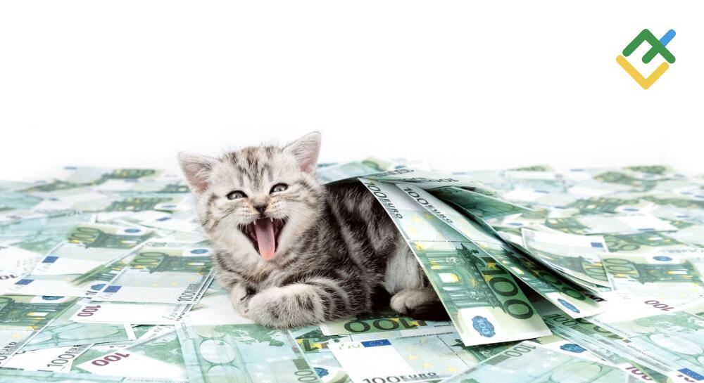 Euro set back. Forecast as of 28.02.2024 Euro set back. Forecast as of 28.02.2024