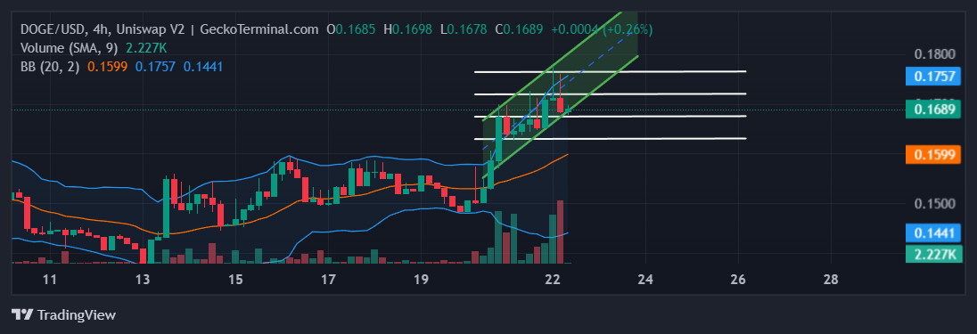 DOGE Chart Image