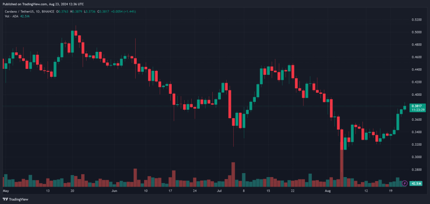 Ada Ada USDT