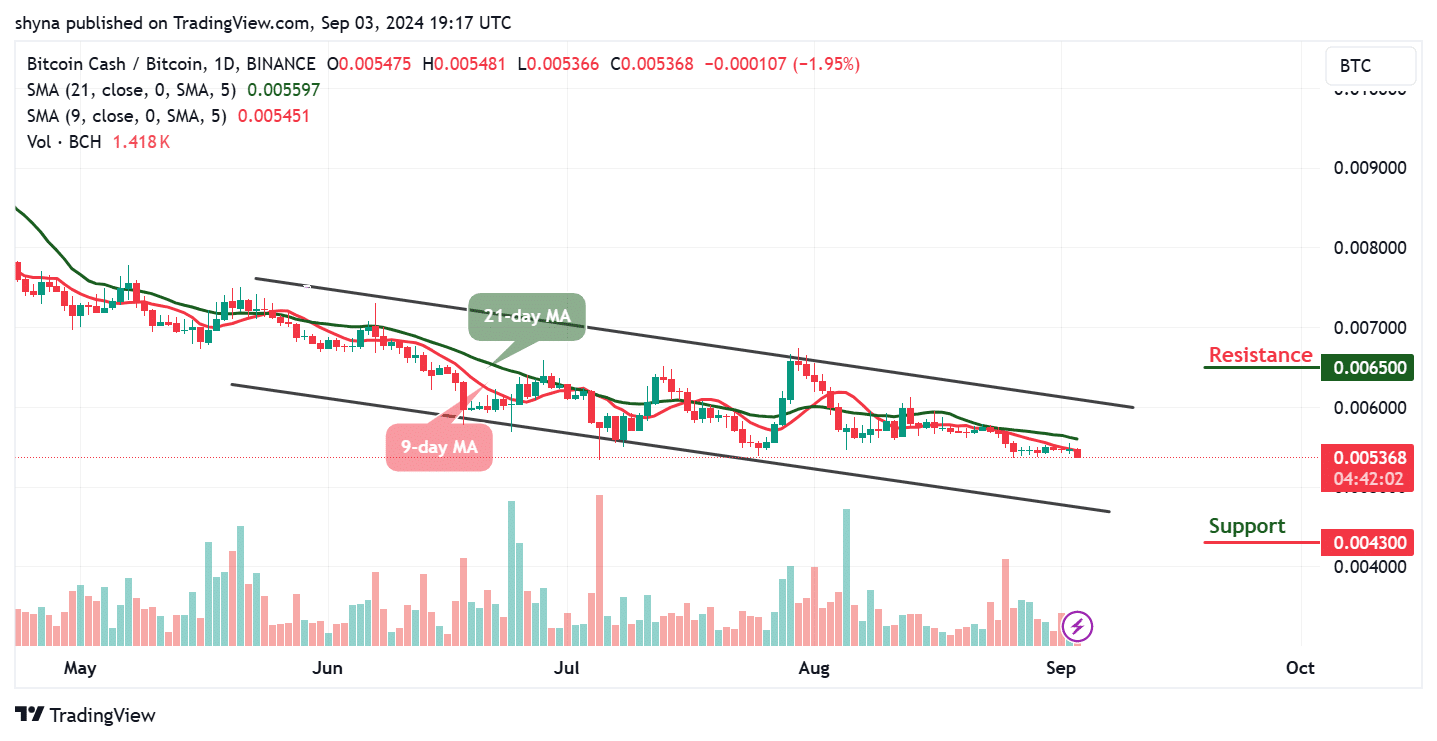 Bitcoin Cash Price Prediction Today September 3 – Bitcoin Cash Technical Analysis