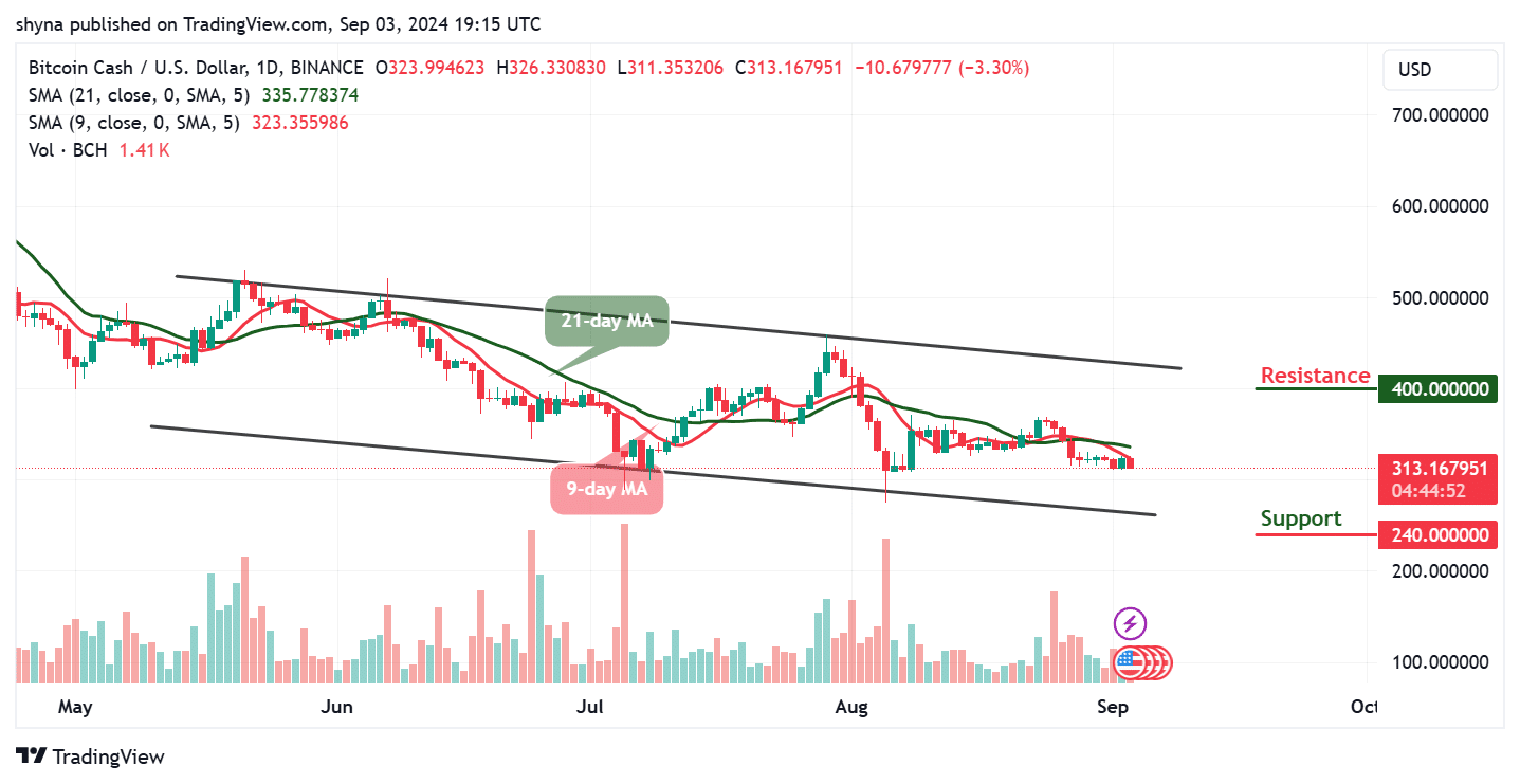 Bitcoin Cash Price Prediction Today September 3 – Bitcoin Cash Technical Analysis