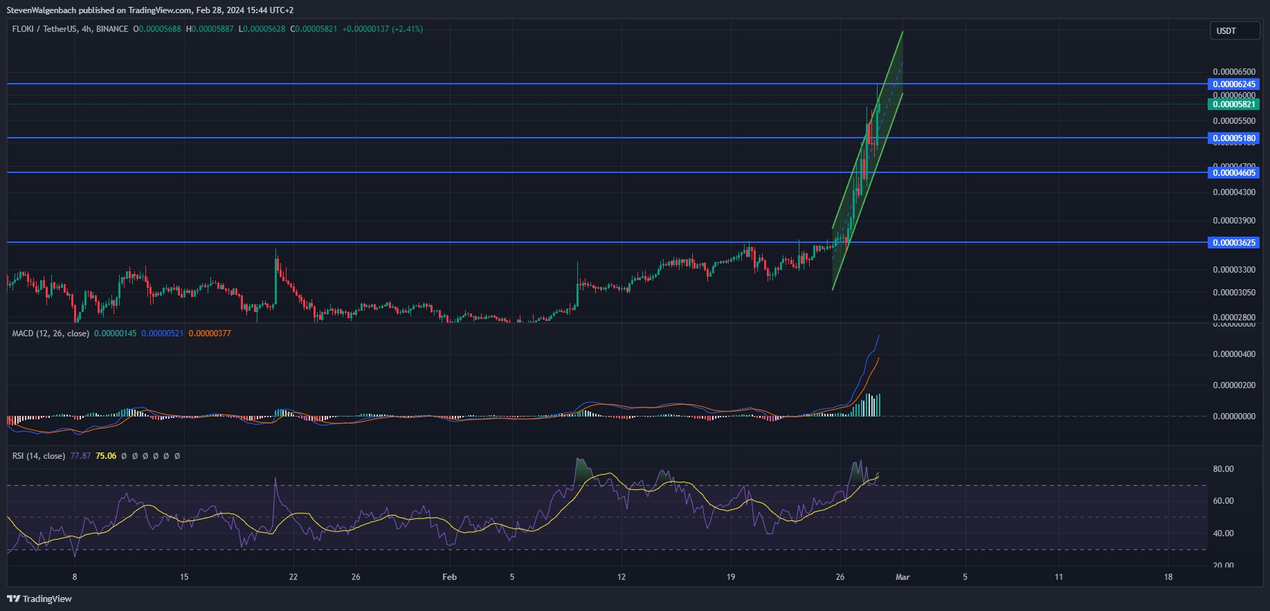 BINANCE:FLOKIUSDT Chart Image by StevenWalgenbach