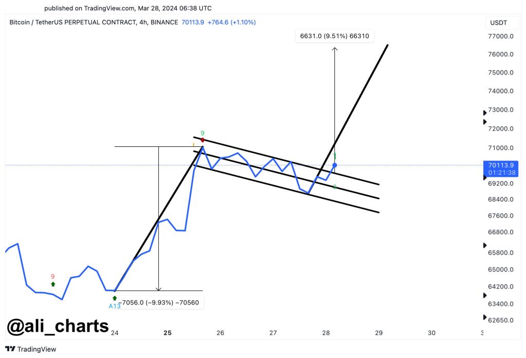 Bitcoin Bull Flag