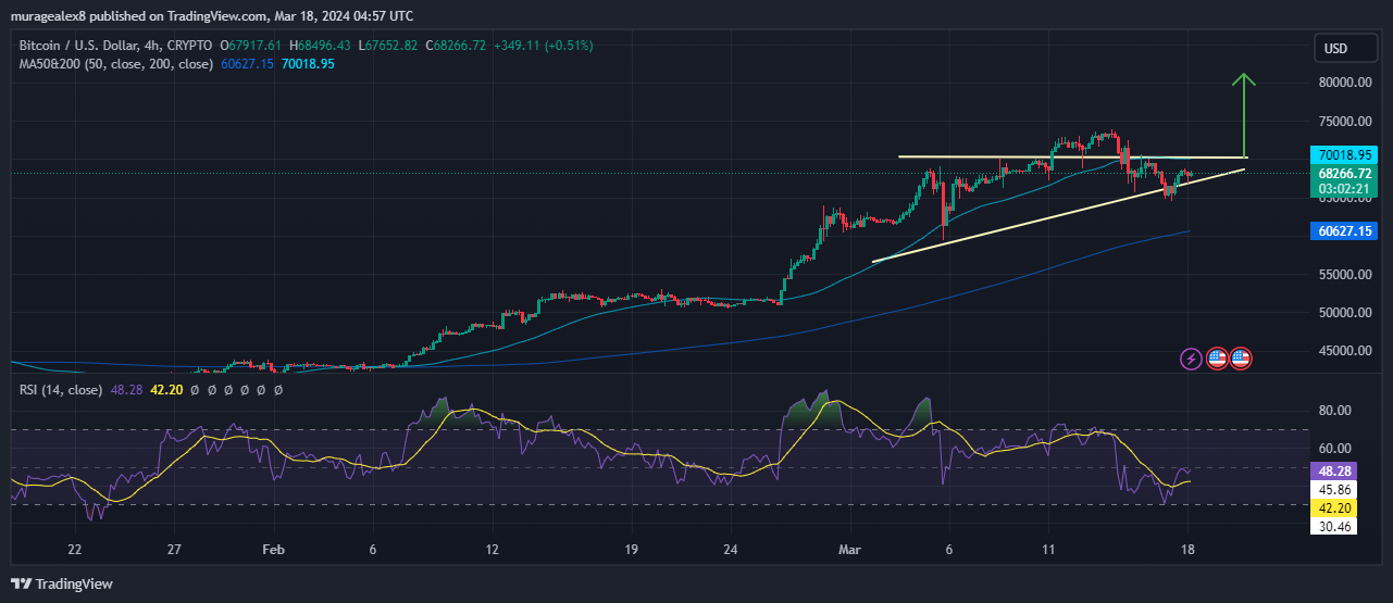 Bitcoin Price Chart Analysis Source: TradingView.com