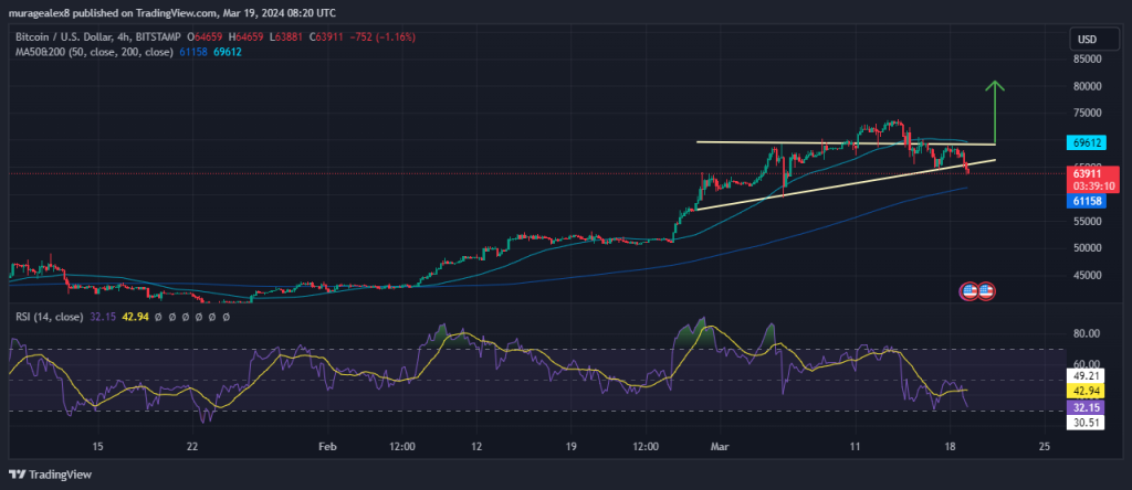 Bitcoin Price Chart Analysis Source: TradingView.com