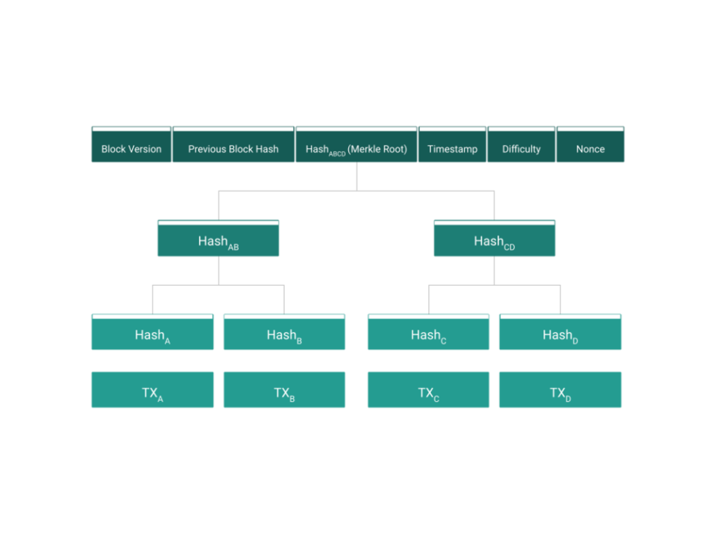 Bitcoin: The Tree of Bytes