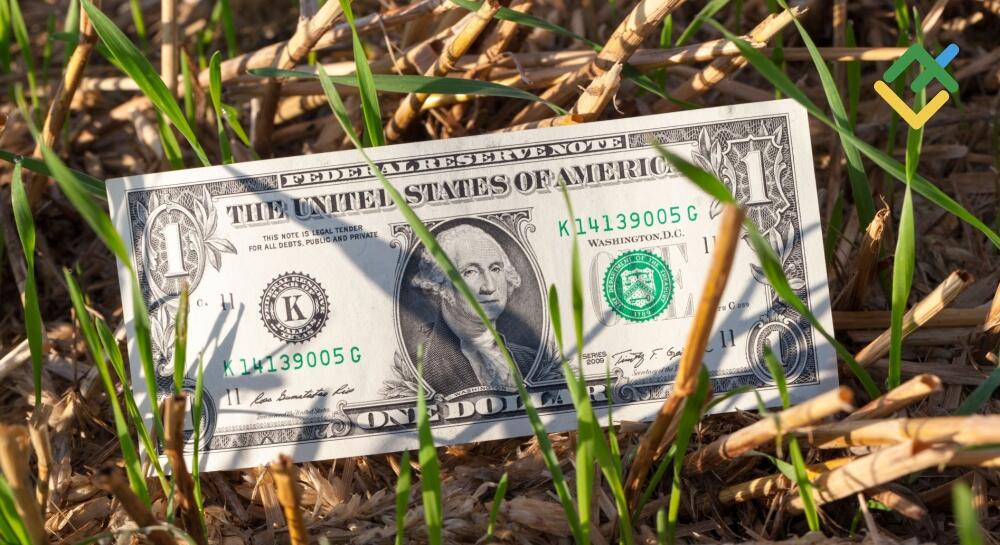 Dollar catching at a straw. Forecast as of 13.03.2024 Dollar catching at a straw. Forecast as of 13.03.2024