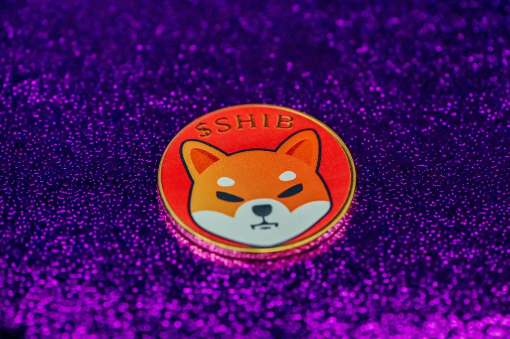 Shiba Inu price