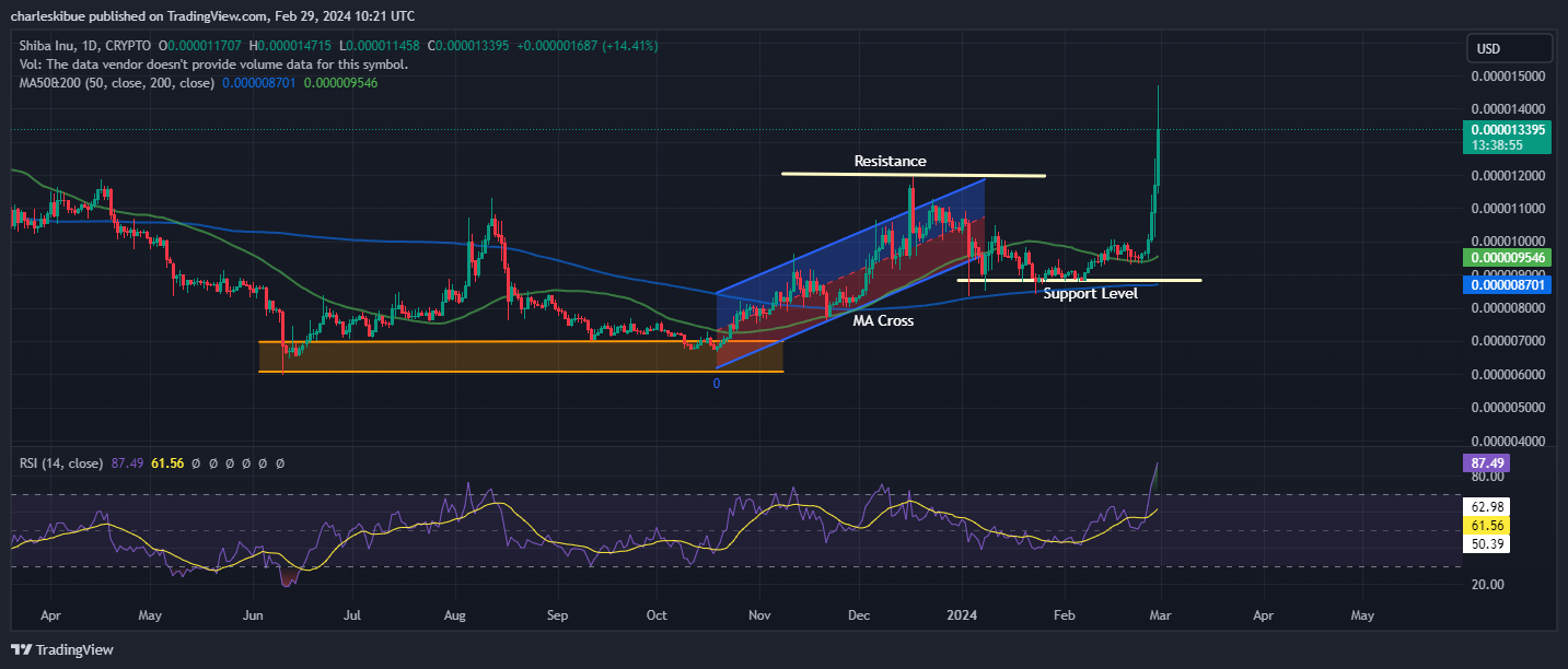 The Shib Price