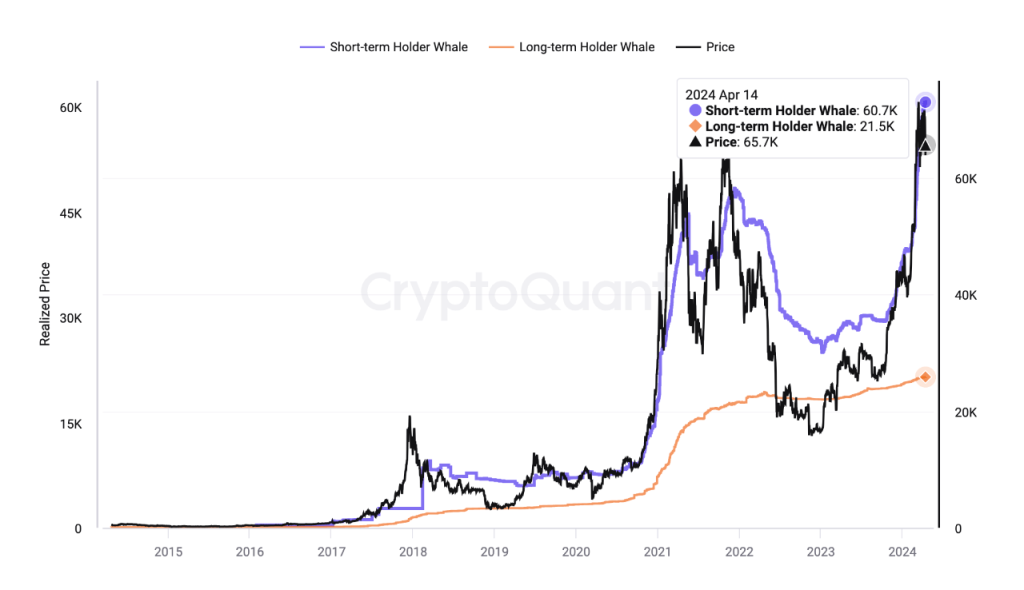 Bitcoin Short-Term Holder Whales