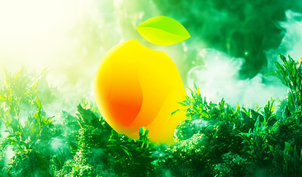 Solana-Based DeFi Platform Mango Markets Files Proposed Settlement Terms with SEC