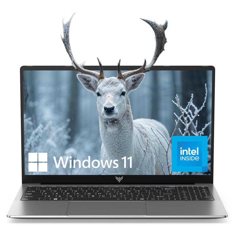 Amazon sells a “impressive” laptop of $ 1300 for $ 340 and is “ideal for work and entertainment”